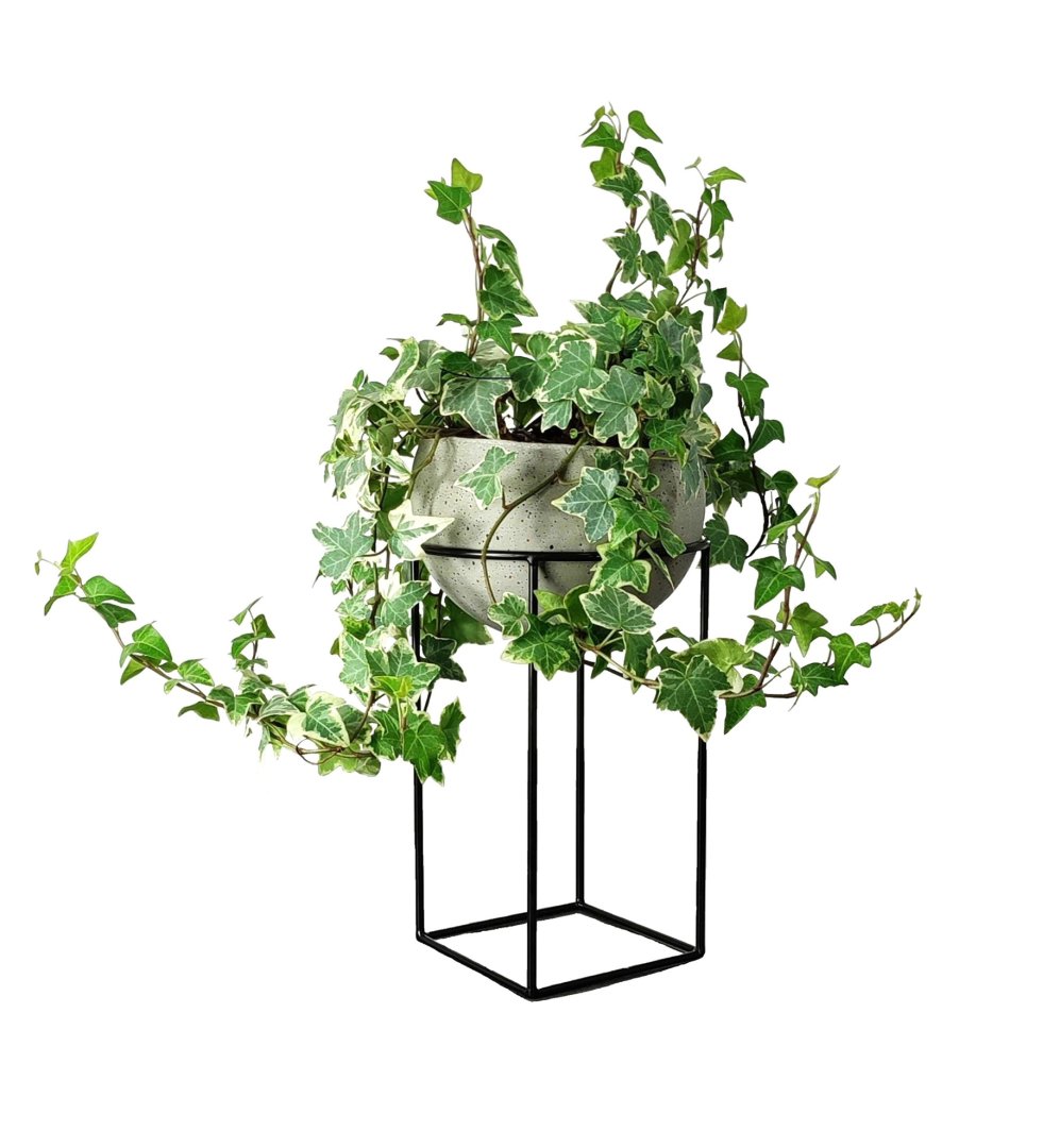 WHIPE kwietnik stojący i doniczka betonowa mała