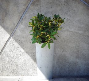 Zestaw CONO M - Zestaw donic betonowych