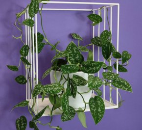 Półka na ścianę czarna ozdobna ITTE