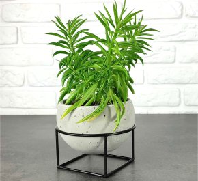 WHIPE kwietnik stojący i doniczka betonowa mała